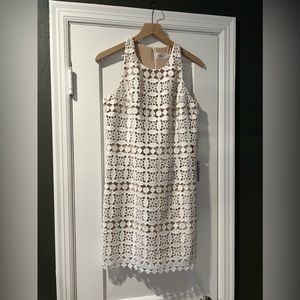 Eliza J shift dress size 8 NWT